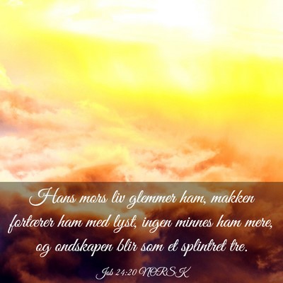 Picture 03 - Job 24:20 NORSK - Hans mors liv glemmer ham, makken fortærer ham - Bible Verse Picture