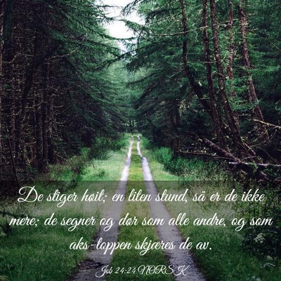 Picture 03 - Job 24:24 NORSK - De stiger høit; en liten stund, så er de ikke - Bible Verse Picture