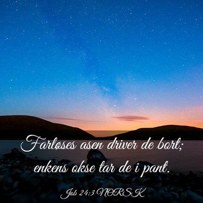 Picture 03 - Job 24:3 NORSK - Farløses asen driver de bort; enkens okse tar de - Bible Verse Picture
