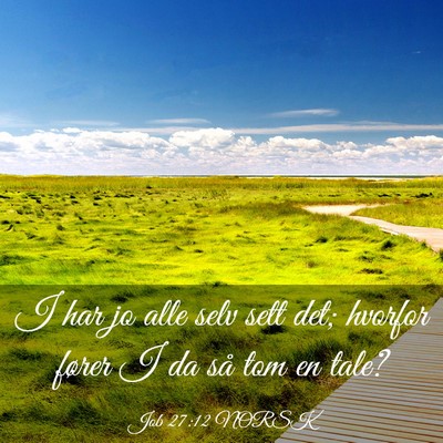 Picture 03 - Job 27:12 NORSK - I har jo alle selv sett det; hvorfor fører I da - Bible Verse Picture