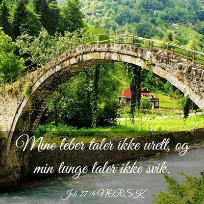 Picture 03 - Job 27:4 NORSK - Mine leber taler ikke urett, og min tunge taler - Bible Verse Picture