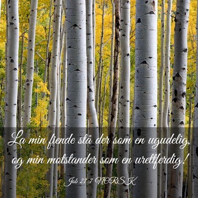 Picture 03 - Job 27:7 NORSK - La min fiende stå der som en ugudelig, og min - Bible Verse Picture