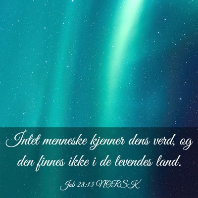 Picture 03 - Job 28:13 NORSK - Intet menneske kjenner dens verd, og den finnes - Bible Verse Picture