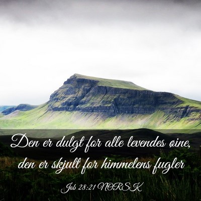 Picture 03 - Job 28:21 NORSK - Den er dulgt for alle levendes øine, den er - Bible Verse Picture