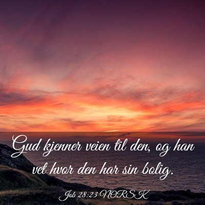 Picture 03 - Job 28:23 NORSK - Gud kjenner veien til den, og han vet hvor den - Bible Verse Picture