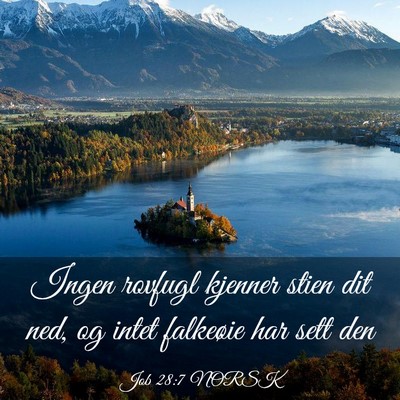 Picture 03 - Job 28:7 NORSK - Ingen rovfugl kjenner stien dit ned, og intet - Bible Verse Picture