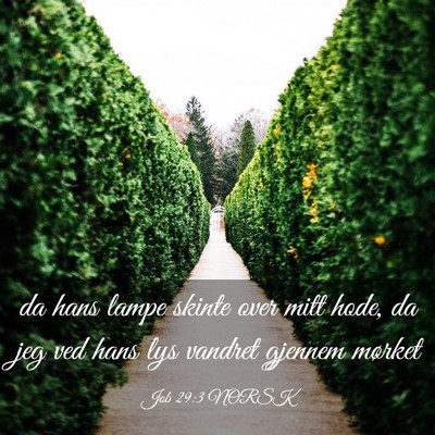 Picture 03 - Job 29:3 NORSK - da hans lampe skinte over mitt hode, da jeg ved - Bible Verse Picture