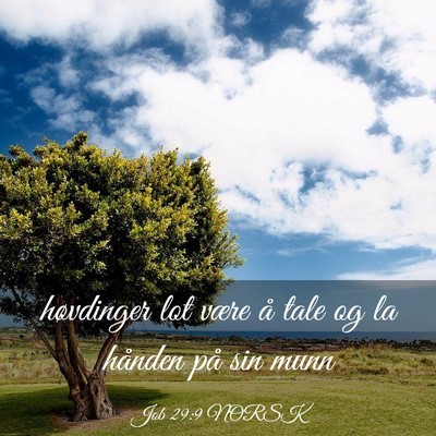 Picture 03 - Job 29:9 NORSK - høvdinger lot være å tale og la hånden på - Bible Verse Picture