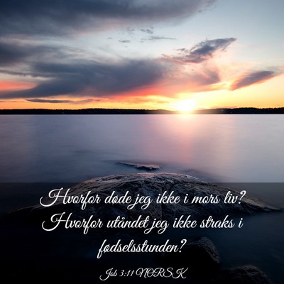Picture 03 - Job 3:11 NORSK - Hvorfor døde jeg ikke i mors liv? Hvorfor - Bible Verse Picture