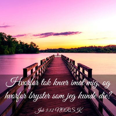 Picture 03 - Job 3:12 NORSK - Hvorfor tok knær imot mig, og hvorfor bryster - Bible Verse Picture