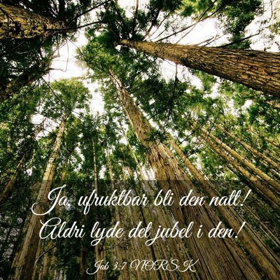 Picture 03 - Job 3:7 NORSK - Ja, ufruktbar bli den natt! Aldri lyde det jubel - Bible Verse Picture