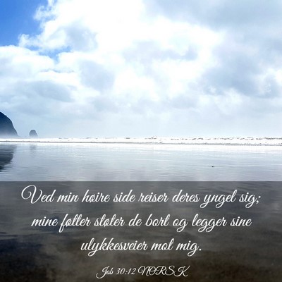 Picture 03 - Job 30:12 NORSK - Ved min høire side reiser deres yngel sig; mine - Bible Verse Picture