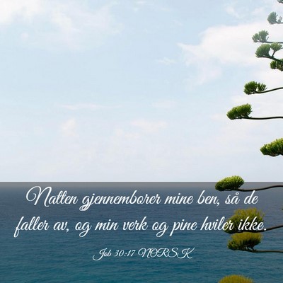 Picture 03 - Job 30:17 NORSK - Natten gjennemborer mine ben, så de faller av, - Bible Verse Picture