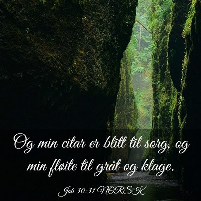 Picture 03 - Job 30:31 NORSK - Og min citar er blitt til sorg, og min fløite - Bible Verse Picture
