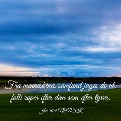 Picture 03 - Job 30:5 NORSK - Fra menneskenes samfund jages de ut; folk roper - Bible Verse Picture