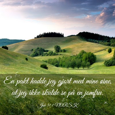 Picture 03 - Job 31:1 NORSK - En pakt hadde jeg gjort med mine øine, at jeg - Bible Verse Picture