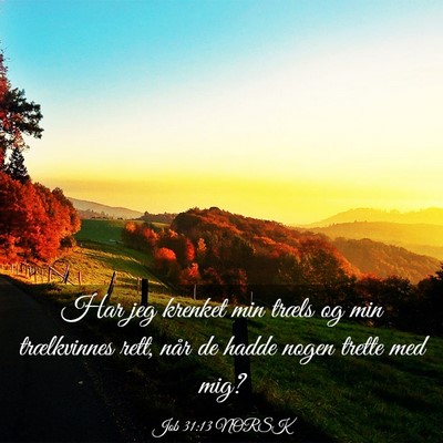 Picture 03 - Job 31:13 NORSK - Har jeg krenket min træls og min trælkvinnes - Bible Verse Picture