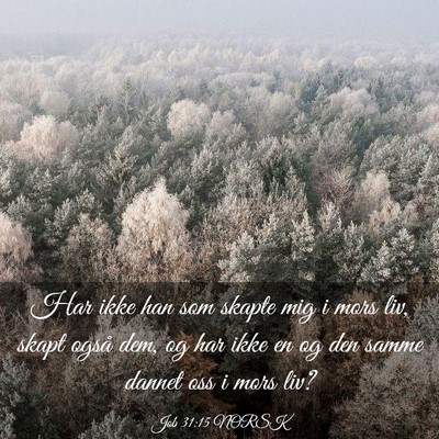Picture 03 - Job 31:15 NORSK - Har ikke han som skapte mig i mors liv, skapt - Bible Verse Picture