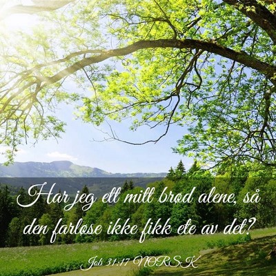 Picture 03 - Job 31:17 NORSK - Har jeg ett mitt brød alene, så den farløse - Bible Verse Picture
