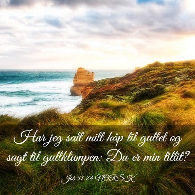 Picture 03 - Job 31:24 NORSK - Har jeg satt mitt håp til gullet og sagt til - Bible Verse Picture