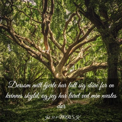 Picture 03 - Job 31:9 NORSK - Dersom mitt hjerte har latt sig dåre for en - Bible Verse Picture