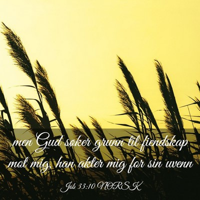 Picture 03 - Job 33:10 NORSK - men Gud søker grunn til fiendskap mot mig, han - Bible Verse Picture
