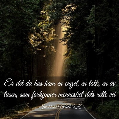 Picture 03 - Job 33:23 NORSK - Er det da hos ham en engel, en tolk, en av tusen, - Bible Verse Picture