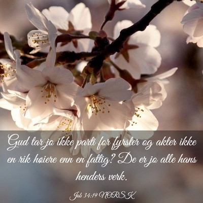 Picture 03 - Job 34:19 NORSK - Gud tar jo ikke parti for fyrster og akter ikke - Bible Verse Picture