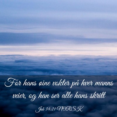 Picture 03 - Job 34:21 NORSK - For hans øine vokter på hver manns veier, og - Bible Verse Picture
