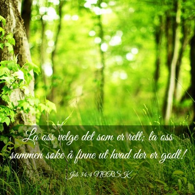 Picture 03 - Job 34:4 NORSK - La oss velge det som er rett; la oss sammen søke - Bible Verse Picture