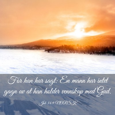 Picture 03 - Job 34:9 NORSK - For han har sagt: En mann har intet gagn av at - Bible Verse Picture