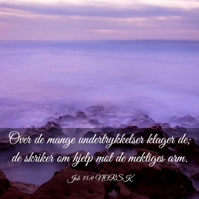 Picture 03 - Job 35:9 NORSK - Over de mange undertrykkelser klager de; de - Bible Verse Picture