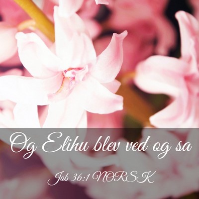 Picture 03 - Job 36:1 NORSK - Og Elihu blev ved og - Bible Verse Picture