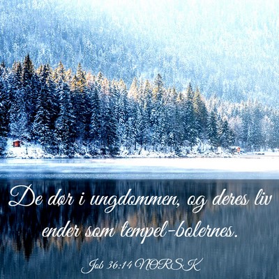Picture 03 - Job 36:14 NORSK - De dør i ungdommen, og deres liv ender som - Bible Verse Picture