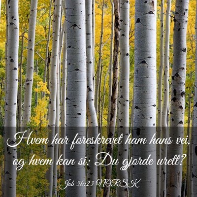 Picture 03 - Job 36:23 NORSK - Hvem har foreskrevet ham hans vei, og hvem kan - Bible Verse Picture