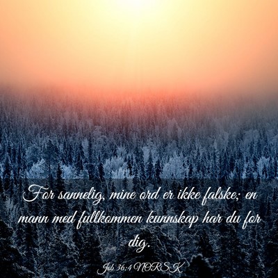 Picture 03 - Job 36:4 NORSK - For sannelig, mine ord er ikke falske; en mann - Bible Verse Picture