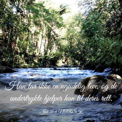 Picture 03 - Job 36:6 NORSK - Han lar ikke en ugudelig leve, og de undertrykte - Bible Verse Picture
