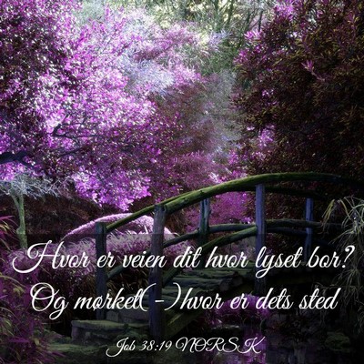 Picture 03 - Job 38:19 NORSK - Hvor er veien dit hvor lyset bor? Og - Bible Verse Picture