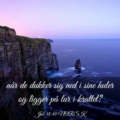 Picture 03 - Job 38:40 NORSK - når de dukker sig ned i sine huler og ligger på - Bible Verse Picture