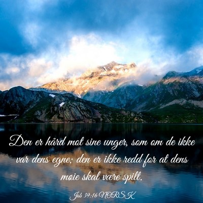 Picture 03 - Job 39:16 NORSK - Den er hård mot sine unger, som om de ikke var - Bible Verse Picture