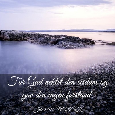 Picture 03 - Job 39:17 NORSK - For Gud nektet den visdom og gav den ingen - Bible Verse Picture
