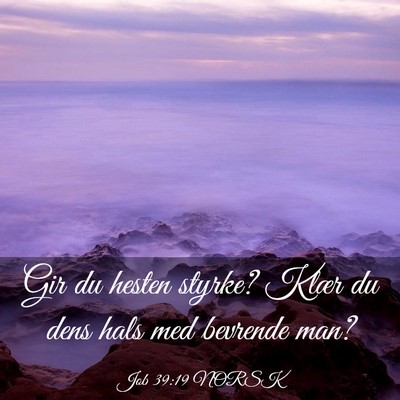 Picture 03 - Job 39:19 NORSK - Gir du hesten styrke? Klær du dens hals med - Bible Verse Picture