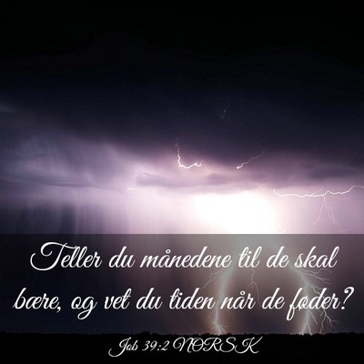 Picture 03 - Job 39:2 NORSK - Teller du månedene til de skal bære, og vet du - Bible Verse Picture