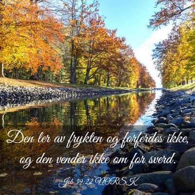 Picture 03 - Job 39:22 NORSK - Den ler av frykten og forferdes ikke, og den - Bible Verse Picture