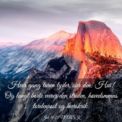 Picture 03 - Job 39:25 NORSK - Hver gang luren lyder, sier den: Hui! Og langt - Bible Verse Picture