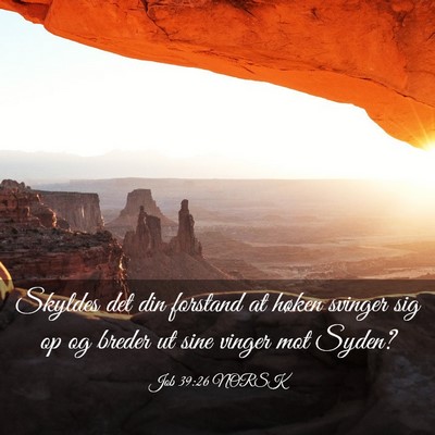 Picture 03 - Job 39:26 NORSK - Skyldes det din forstand at høken svinger sig op - Bible Verse Picture