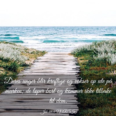 Picture 03 - Job 39:4 NORSK - Deres unger blir kraftige og vokser op ute på - Bible Verse Picture