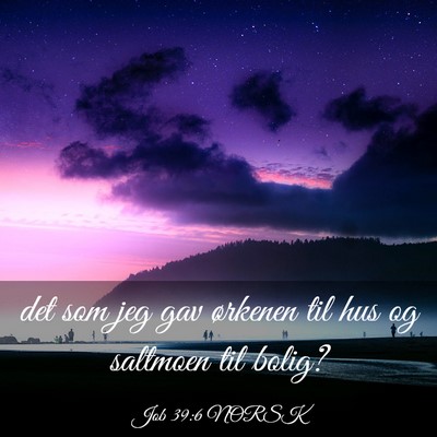 Picture 03 - Job 39:6 NORSK - det som jeg gav ørkenen til hus og saltmoen til - Bible Verse Picture
