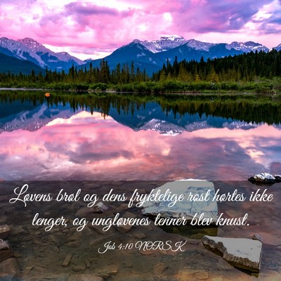 Picture 03 - Job 4:10 NORSK - Løvens brøl og dens fryktelige røst hørtes - Bible Verse Picture