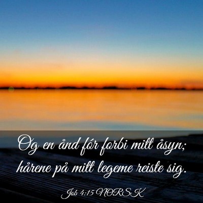 Picture 03 - Job 4:15 NORSK - Og en ånd fór forbi mitt åsyn; hårene på - Bible Verse Picture